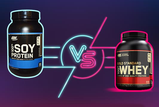 protein whey vs soy