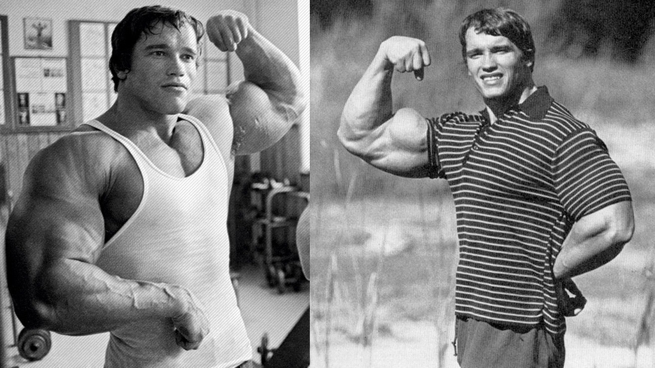 arnold workout arms