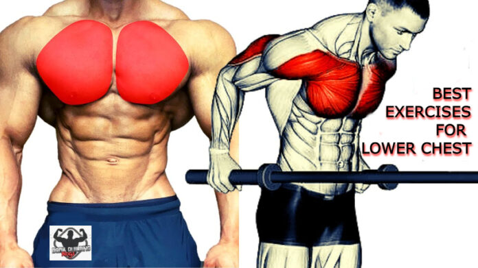 best lower chest exercises