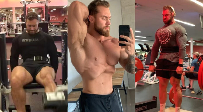 chris bumstead workouts and nutrition plan