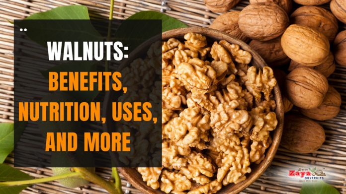 All about walnuts: Benefits, Nutrition, Uses and many more