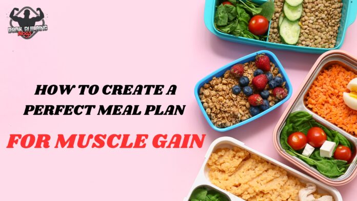 How to Create a Perfect Meal Plan for Muscle Gain